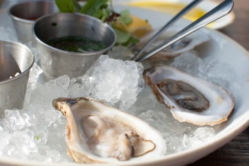 oysters_4